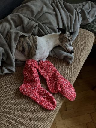 Láska, svoboda a... pořádný šlofík! ✌️ Z našich recyklovaných Klasiků se vám nebude chtít možná ani na procházku. Pohovka,...